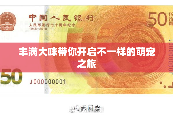 丰满大咪带你开启不一样的萌宠之旅