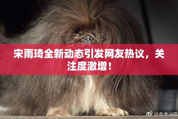 宋雨琦全新动态引发网友热议，关注度激增！