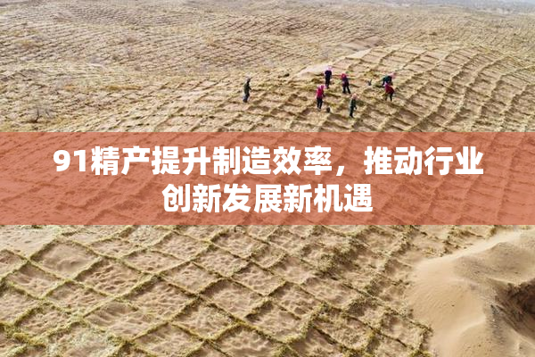 91精产提升制造效率，推动行业创新发展新机遇