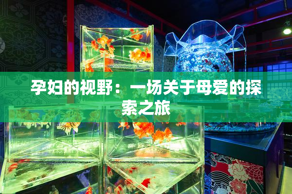 孕妇的视野：一场关于母爱的探索之旅