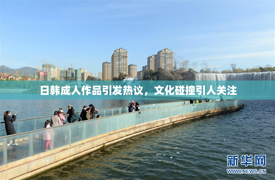 日韩成人作品引发热议，文化碰撞引人关注
