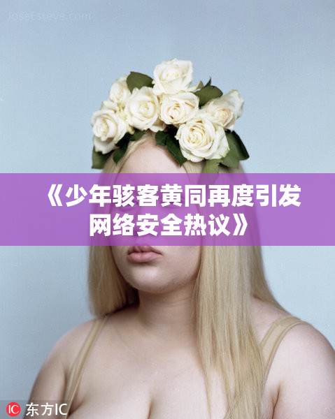 《少年骇客黄同再度引发网络安全热议》