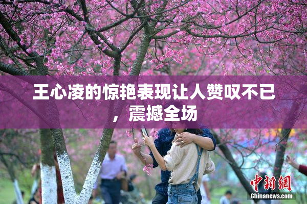 王心凌的惊艳表现让人赞叹不已，震撼全场