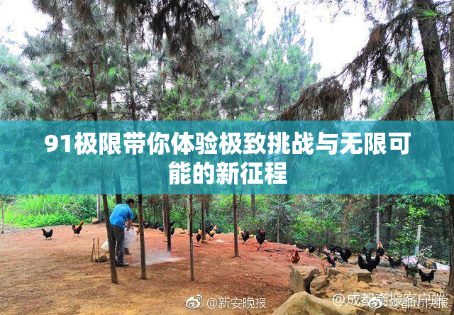 91极限带你体验极致挑战与无限可能的新征程