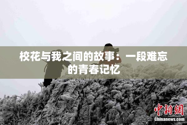校花与我之间的故事：一段难忘的青春记忆