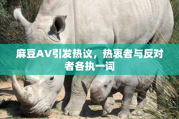 麻豆AV引发热议，热衷者与反对者各执一词
