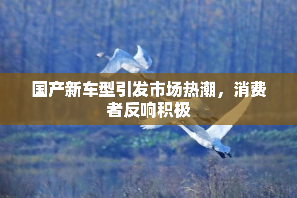 国产新车型引发市场热潮，消费者反响积极