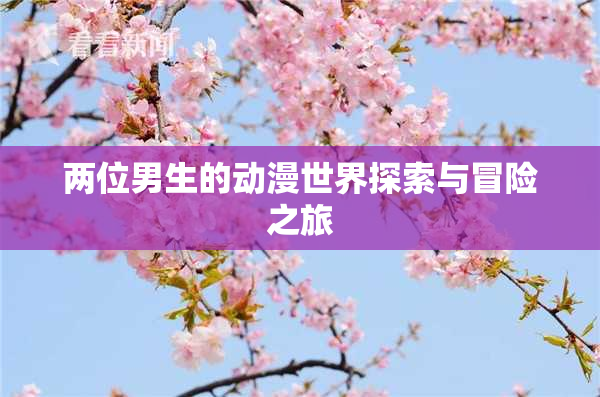 两位男生的动漫世界探索与冒险之旅