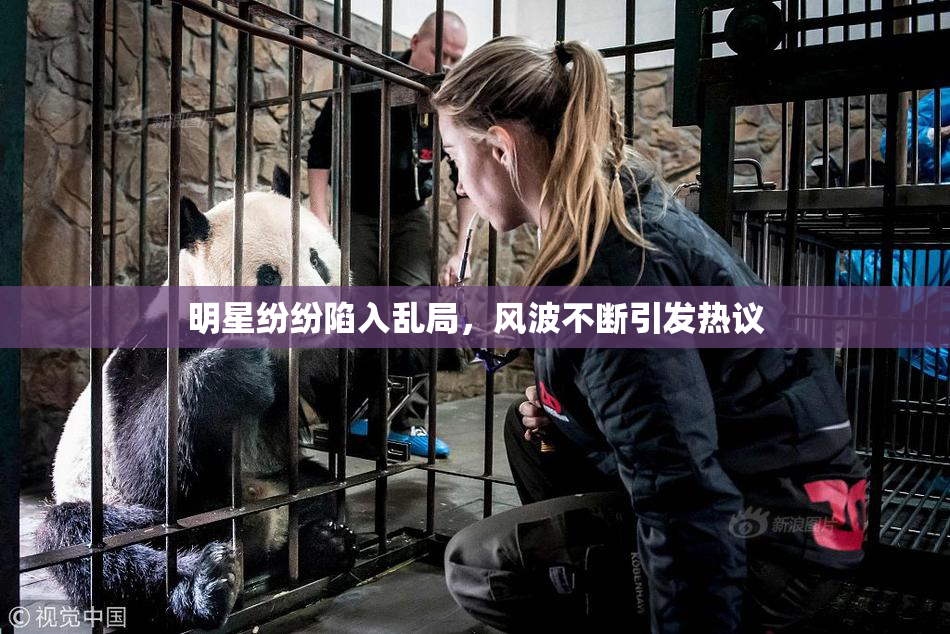 明星纷纷陷入乱局，风波不断引发热议