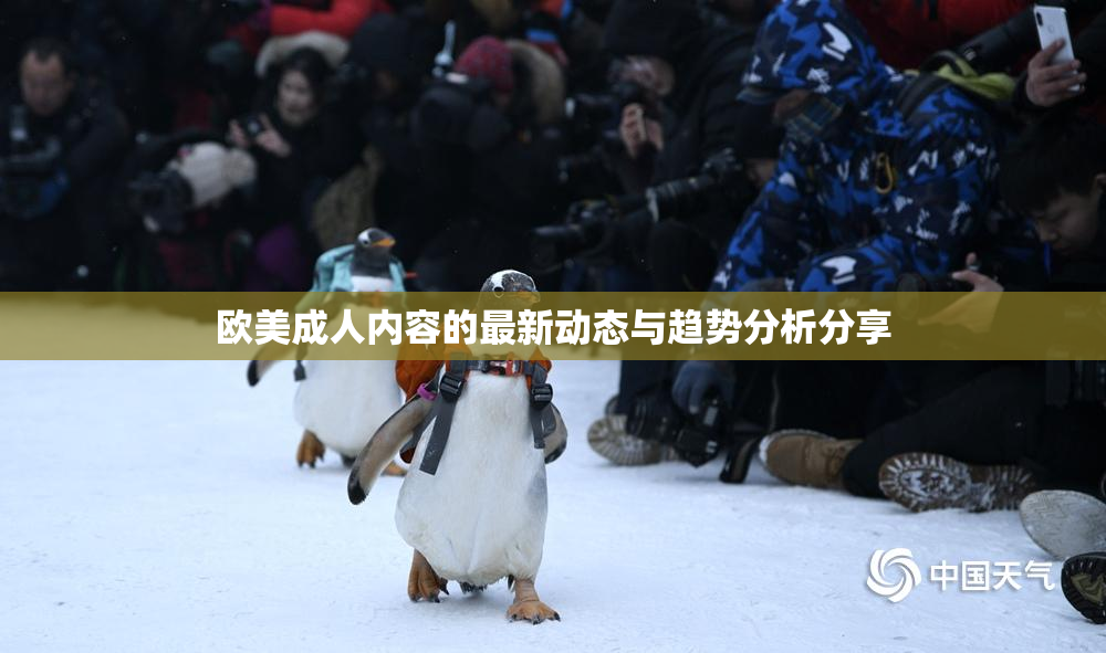 欧美成人内容的最新动态与趋势分析分享