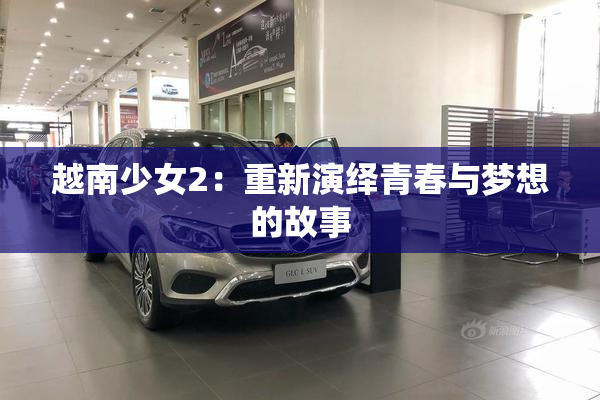 越南少女2：重新演绎青春与梦想的故事