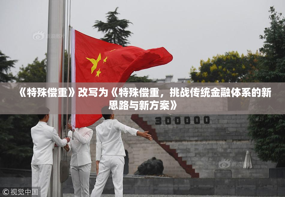 《特殊偿重》改写为《特殊偿重，挑战传统金融体系的新思路与新方案》