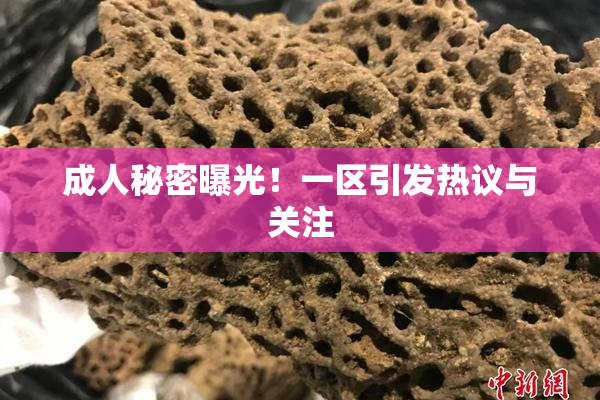 成人秘密曝光！一区引发热议与关注
