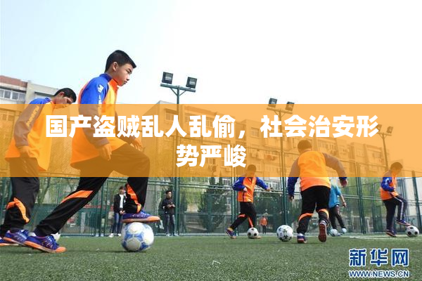 国产盗贼乱人乱偷，社会治安形势严峻