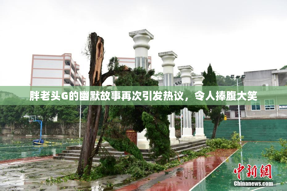 胖老头G的幽默故事再次引发热议，令人捧腹大笑