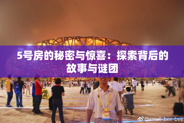 5号房的秘密与惊喜：探索背后的故事与谜团
