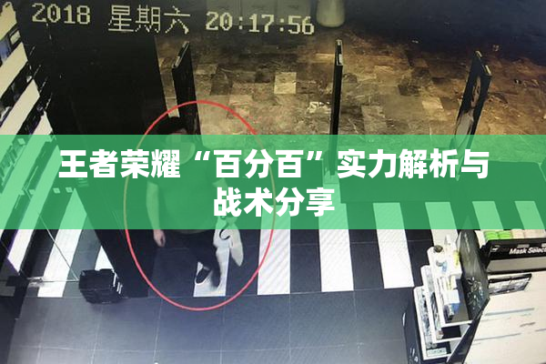 王者荣耀“百分百”实力解析与战术分享