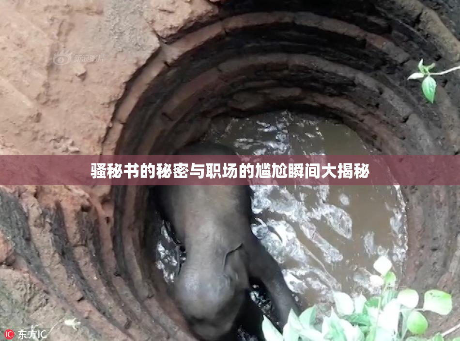 骚秘书的秘密与职场的尴尬瞬间大揭秘