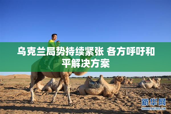 乌克兰局势持续紧张 各方呼吁和平解决方案