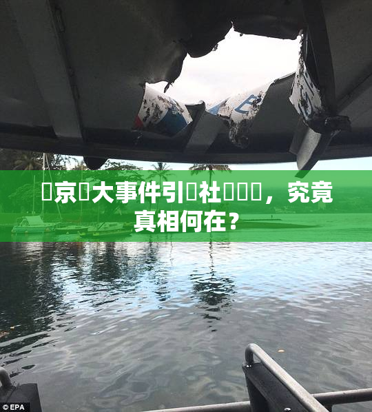 東京熱大事件引發社會熱議，究竟真相何在？