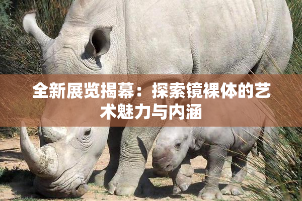 全新展览揭幕：探索镜裸体的艺术魅力与内涵