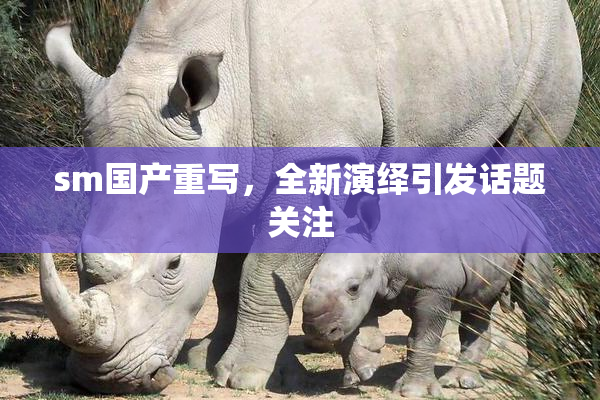 sm国产重写，全新演绎引发话题关注