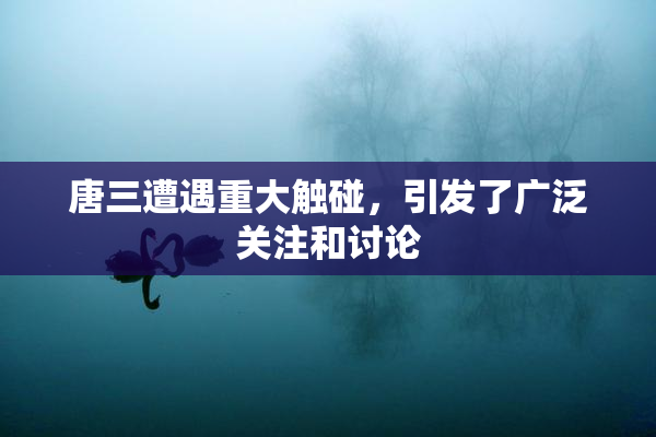 唐三遭遇重大触碰，引发了广泛关注和讨论