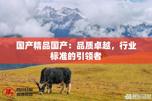 国产精品国产：品质卓越，行业标准的引领者