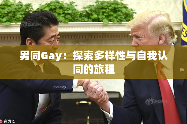 男同Gay：探索多样性与自我认同的旅程