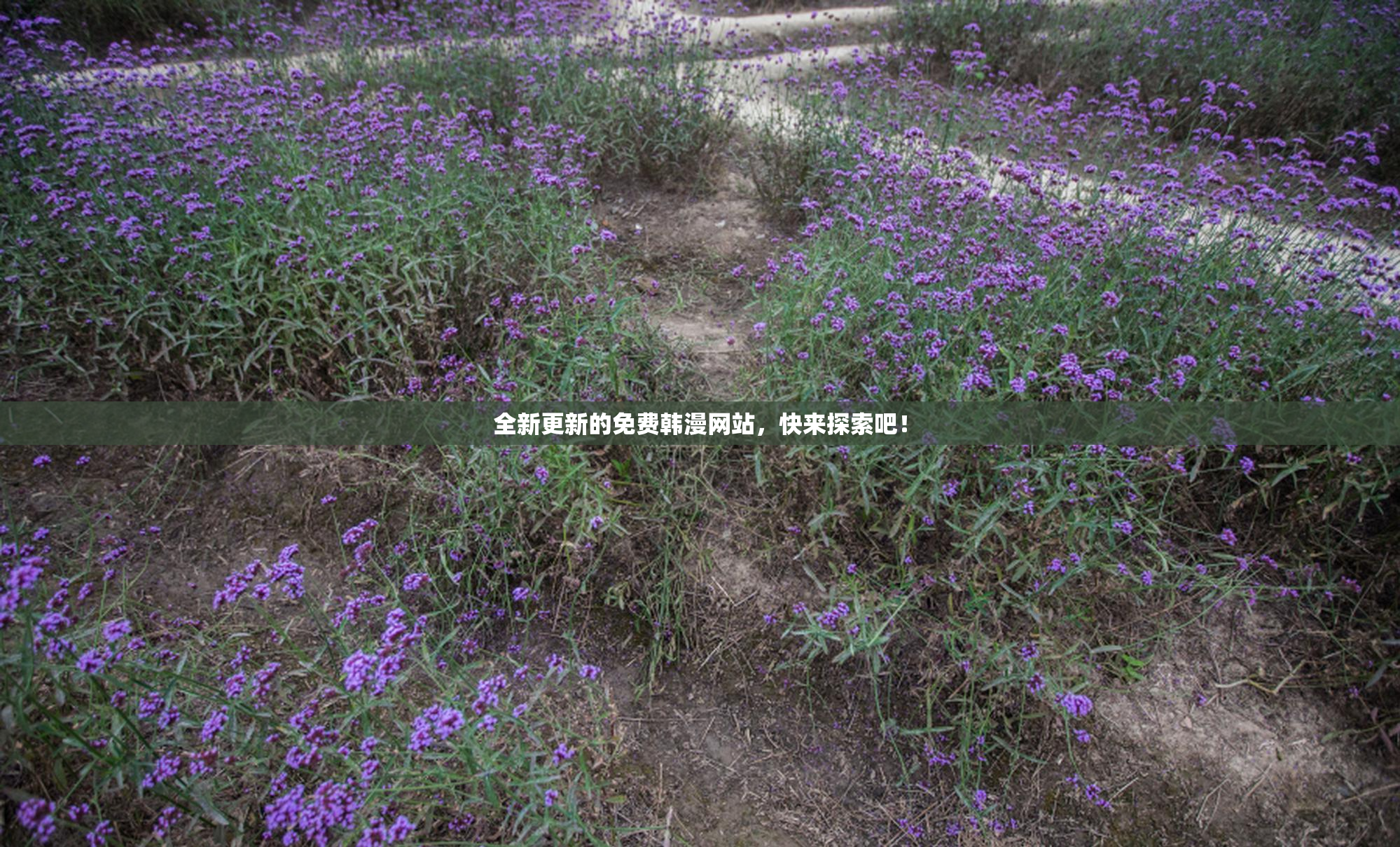 全新更新的免费韩漫网站，快来探索吧！
