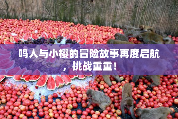 鸣人与小樱的冒险故事再度启航，挑战重重！