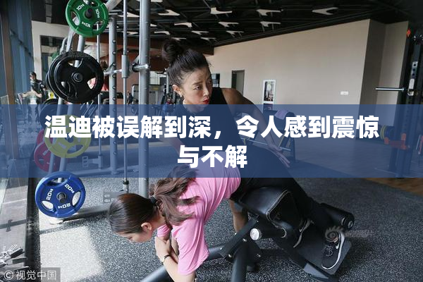 温迪被误解到深，令人感到震惊与不解