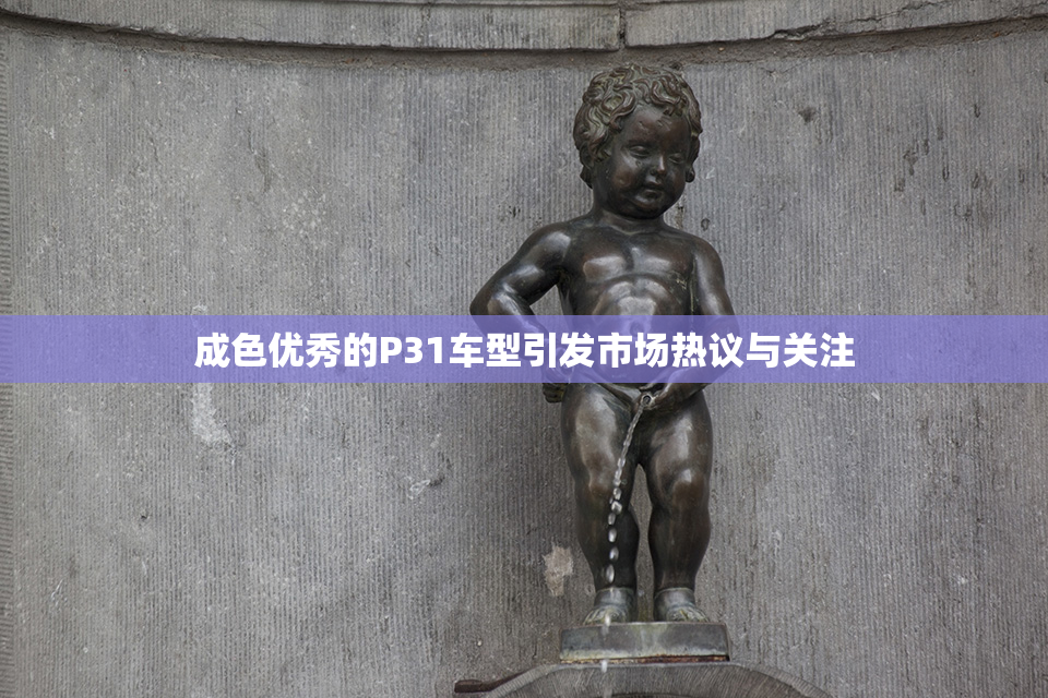 成色优秀的P31车型引发市场热议与关注