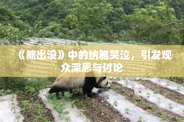 《熊出没》中的纳雅哭泣，引发观众深思与讨论