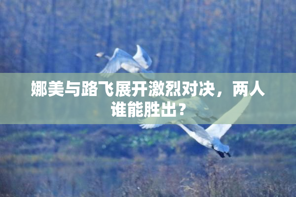 娜美与路飞展开激烈对决，两人谁能胜出？