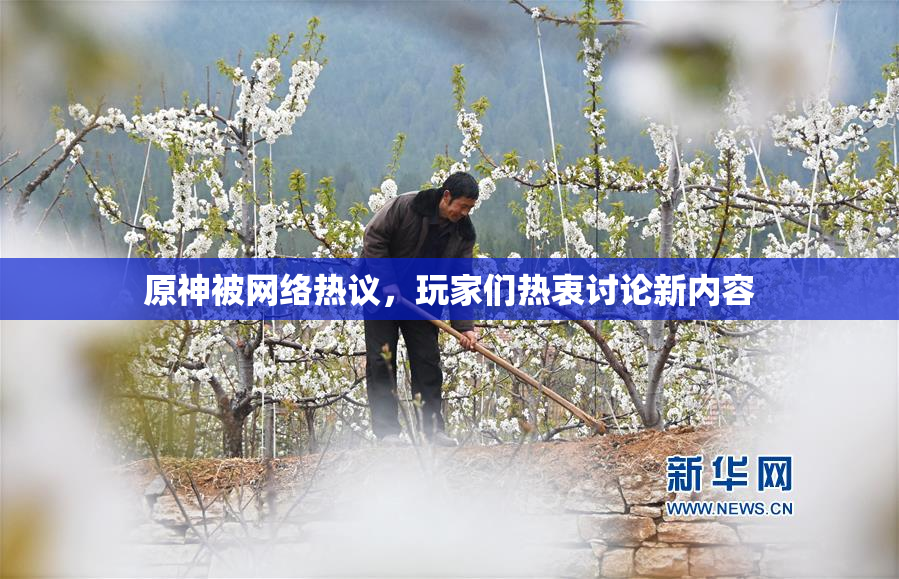 原神被网络热议，玩家们热衷讨论新内容