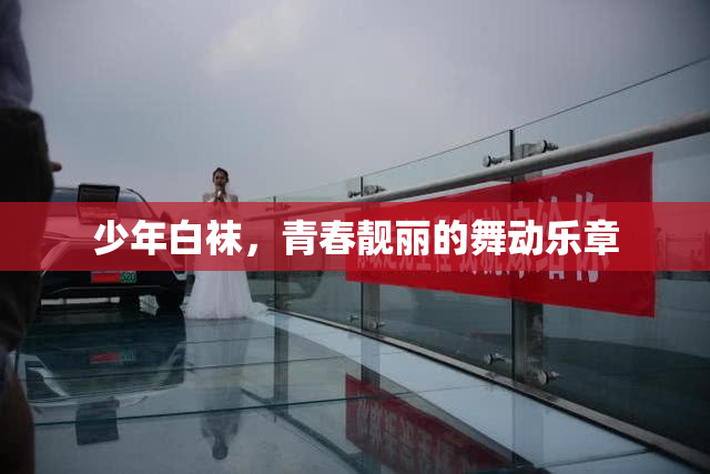 少年白袜，青春靓丽的舞动乐章