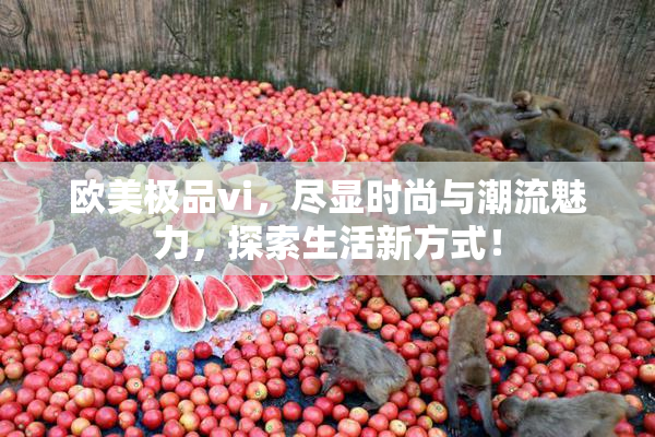 欧美极品vi，尽显时尚与潮流魅力，探索生活新方式！
