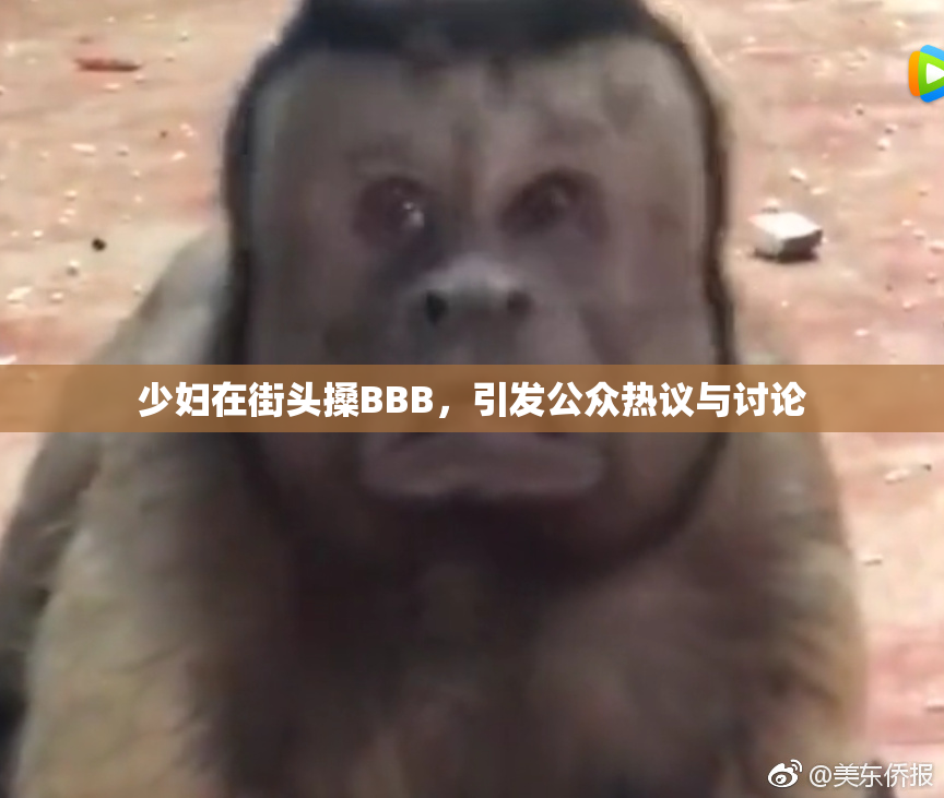 少妇在街头搡BBB，引发公众热议与讨论