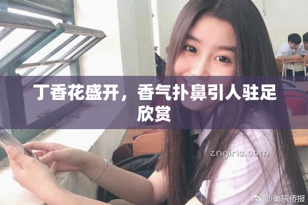 丁香花盛开，香气扑鼻引人驻足欣赏
