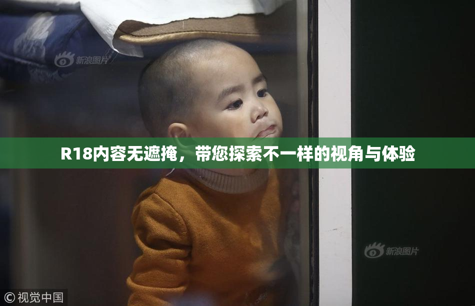 R18内容无遮掩，带您探索不一样的视角与体验