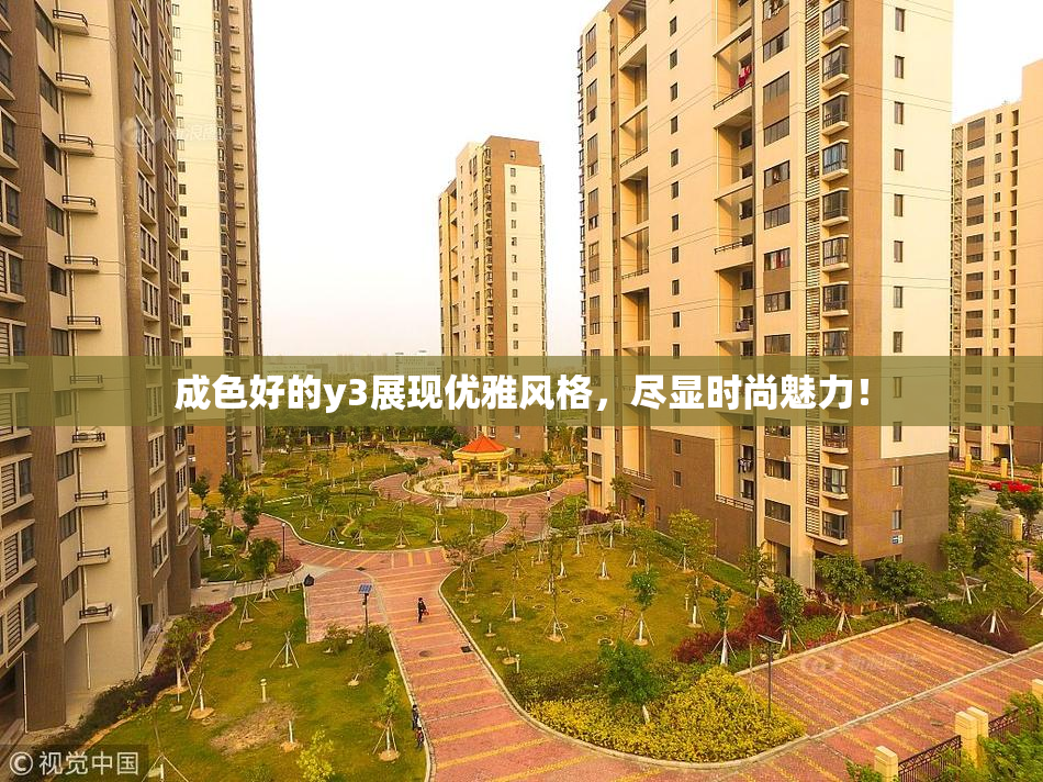 成色好的y3展现优雅风格，尽显时尚魅力！