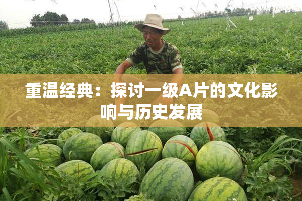 重温经典：探讨一级A片的文化影响与历史发展