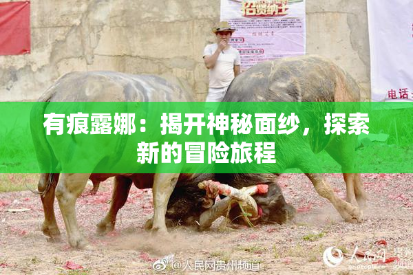 有痕露娜：揭开神秘面纱，探索新的冒险旅程