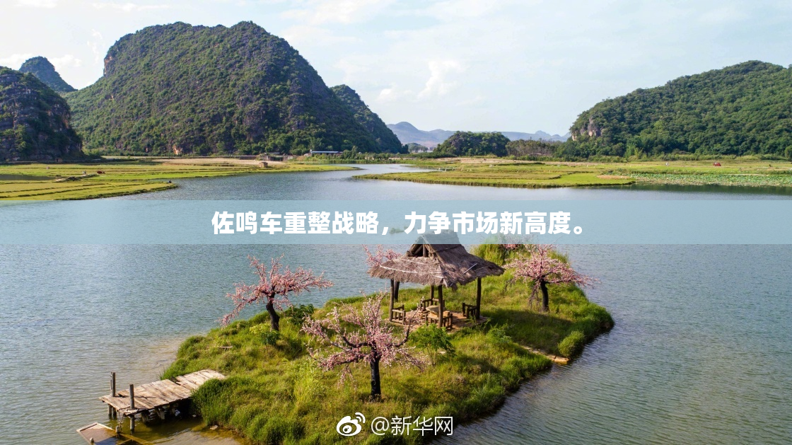 佐鸣车重整战略，力争市场新高度。