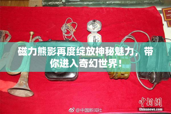 磁力熊影再度绽放神秘魅力，带你进入奇幻世界！