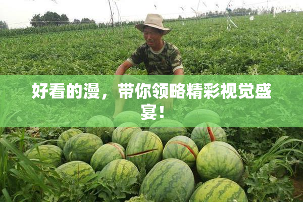 好看的漫，带你领略精彩视觉盛宴！