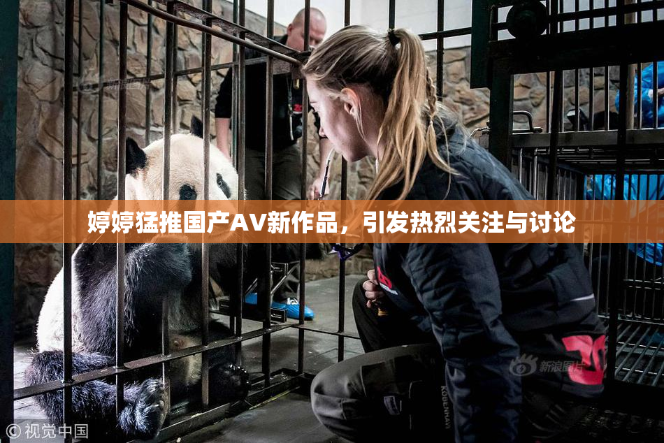 婷婷猛推国产AV新作品，引发热烈关注与讨论