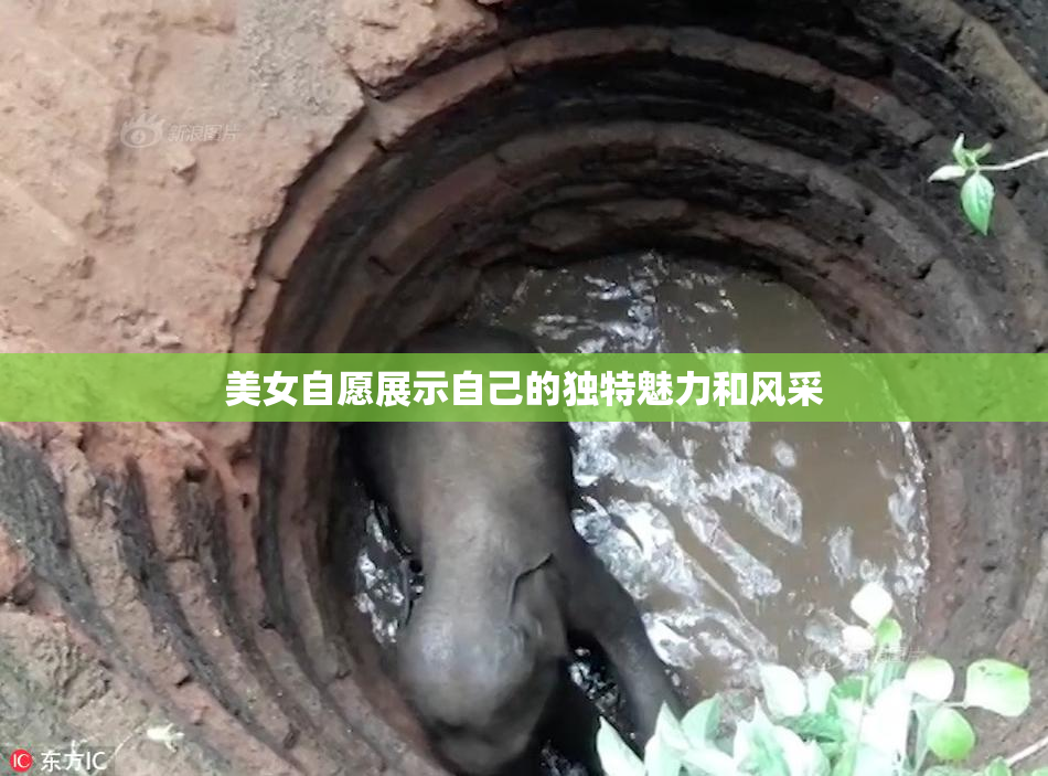 美女自愿展示自己的独特魅力和风采
