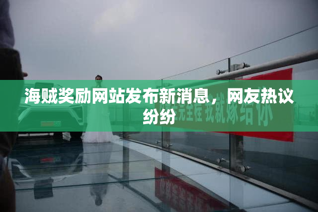 海贼奖励网站发布新消息，网友热议纷纷